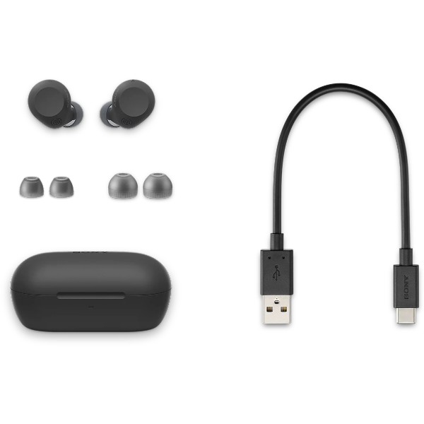 Фото - Наушники вкладыши беспроводные TWS Sony WF-C710N Black (WFC710NB.Esony)