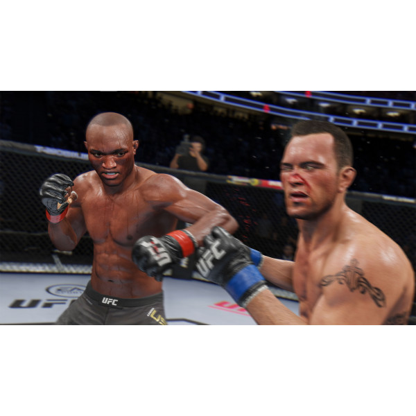 Фото - Игровой диск PS4 UFC 4 [Blu-Ray диск]