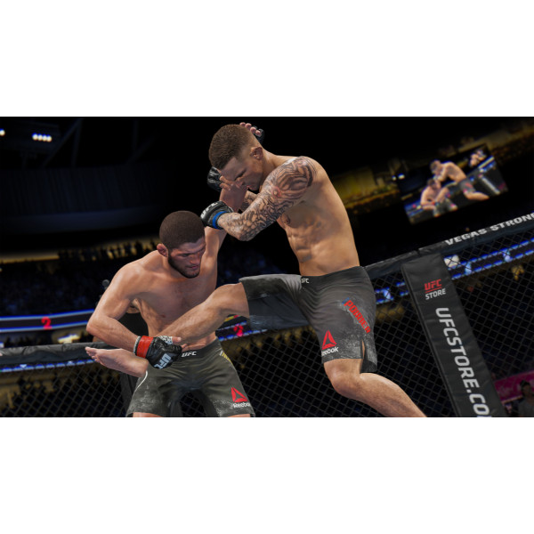 Фото - Игровой диск PS4 UFC 4 [Blu-Ray диск]