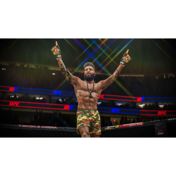 Фото - Игровой диск PS4 UFC 4 [Blu-Ray диск]