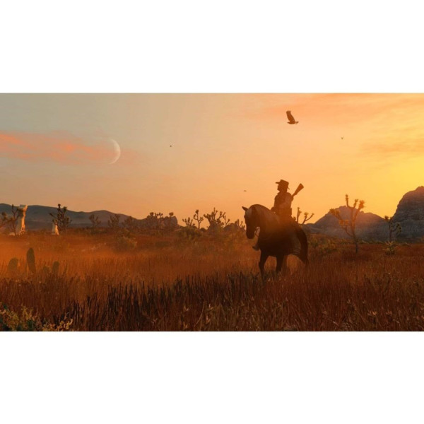 Фото - Ігровий диск PS5 Red Dead Redemption Remastered