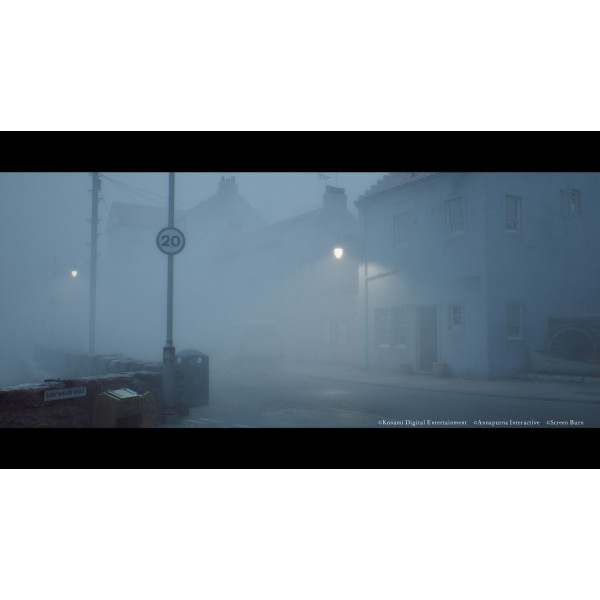 Фото - Игровой диск PS5 Silent Hill: Townfall + Steelbook