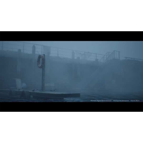 Фото - Игровой диск PS5 Silent Hill: Townfall + Steelbook
