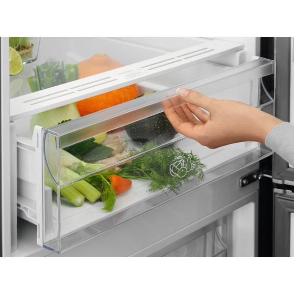 Фото - Холодильник Electrolux LNT5ME36U1