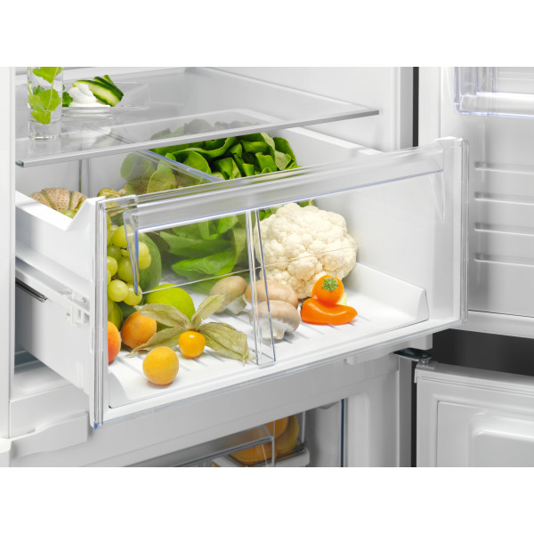 Фото - Холодильник вбудований Electrolux RNT6TE19S