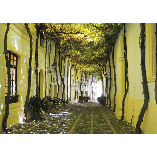 Фото - Пазли (8 +) Piatnik Андалузька алея 1000 ел. (PT-558344)