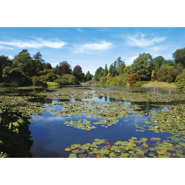 Фото - Пазли (8 +) Piatnik Тихий пруд 1000 ел. (PT-558443)