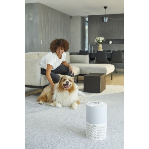Фото - Очиститель воздуха Rowenta PU2220F0 Pure Air Compact