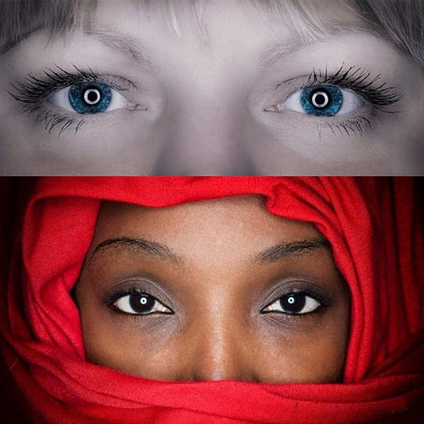 Фото - Софтбокс PowerPlant PU5145 45 см