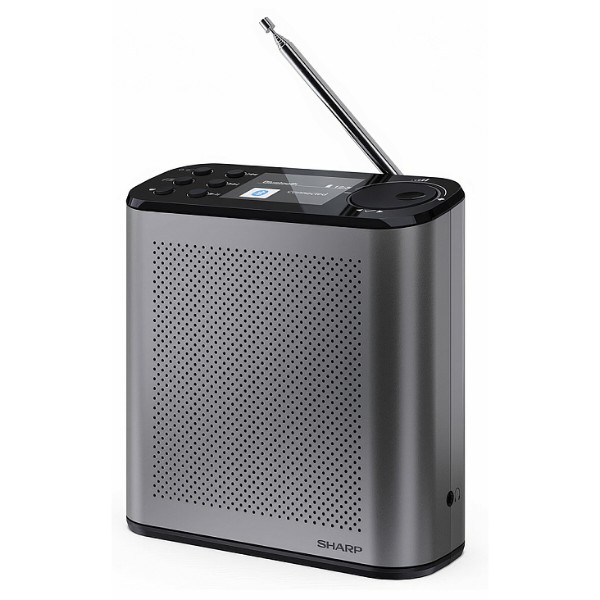 Фото - Радиоприемник Sharp DR-P530 (GY)