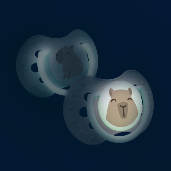 Фото - Динамічна пустушка Lovi 6-18 м-ців 2 шт. CapiChill - рожева (22/933girl)