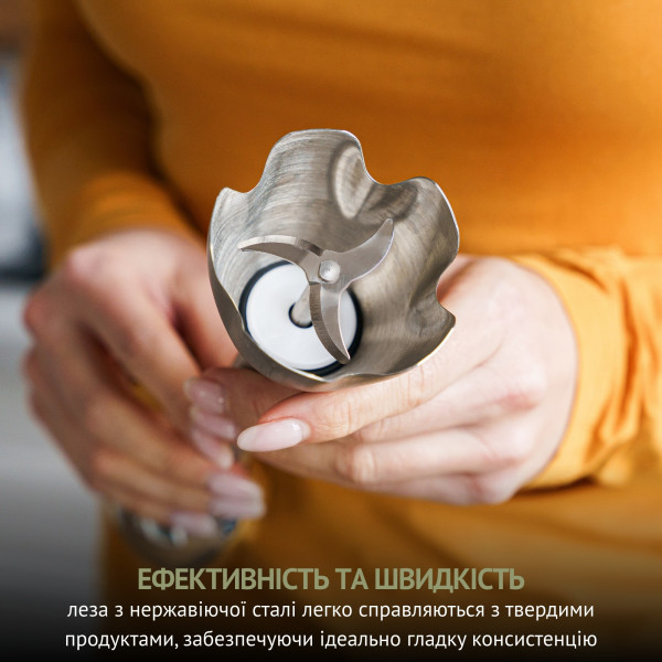 Фото - Блендер погружной QUIN HB-103
