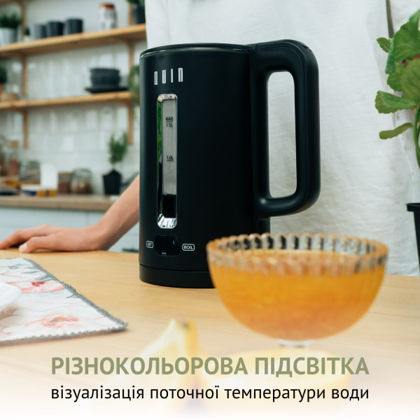 Фото - Электрический чайник QUIN KTL-202 Black