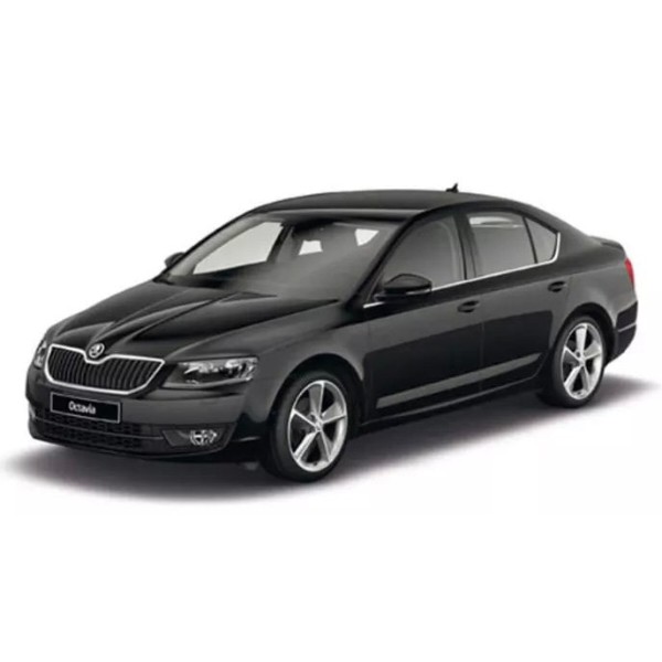 Фото - Коврики из экокожи в салон авто передние EVAtech для Octavia A7 AT Skoda 2013-2020 3 поколение Liftback EU (SK3639AG2AV4BBB)