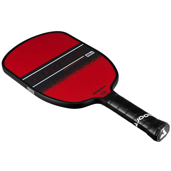 Фото - Ракетка для піклболу Joola Agassi Champion 12 (300665)