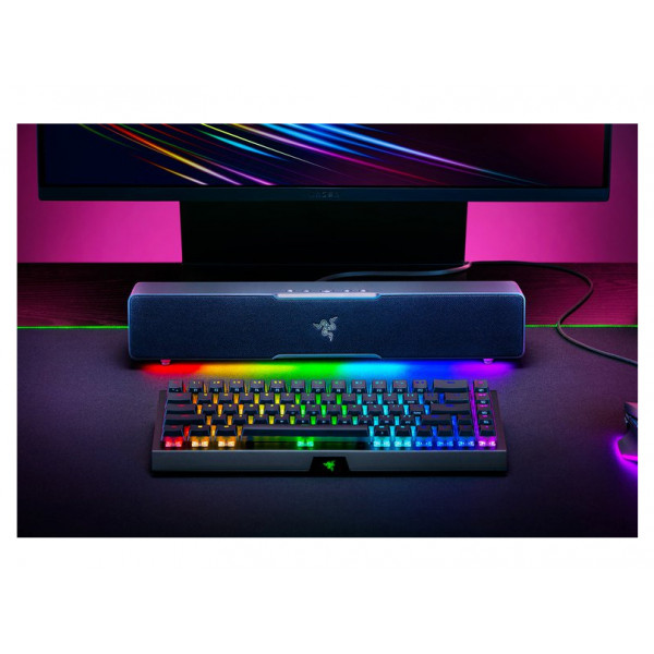Фото - Портативная акустика Razer Leviathan V2 X (RZ05-04280100-R3M1)