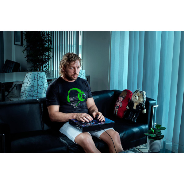 Фото - Геймпад Razer Panthera Evo Arcade Stick for PS4 (RZ06-02720100-R3G1)