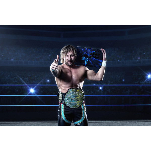 Фото - Геймпад Razer Panthera Evo Arcade Stick for PS4 (RZ06-02720100-R3G1)