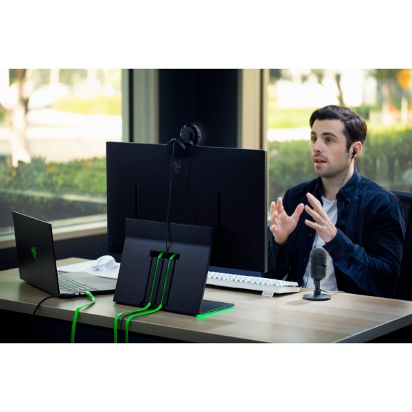 Фото - Микрофон для компьютера проводной Razer Seiren mini  (RZ19-03450100-R3M1)