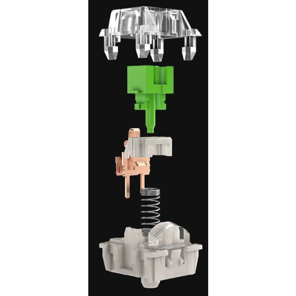 Фото - Набір перемикачів для клавіатури Razer Mechanical Switches Pack, Green clicky switch (RC21-02040200-R3M1)