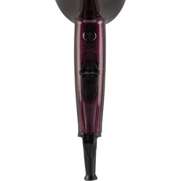 Фото - Фен Rotex RFF202-V DelicateCare Pro