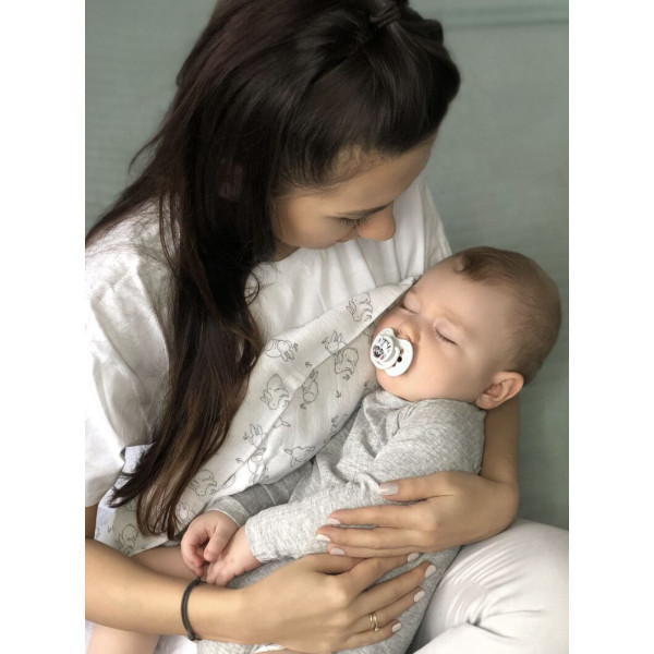 Фото - Динамическая пустышка Lovi 3-6 м-цев 2 шт. Wild Soul Boy (22/883boy)