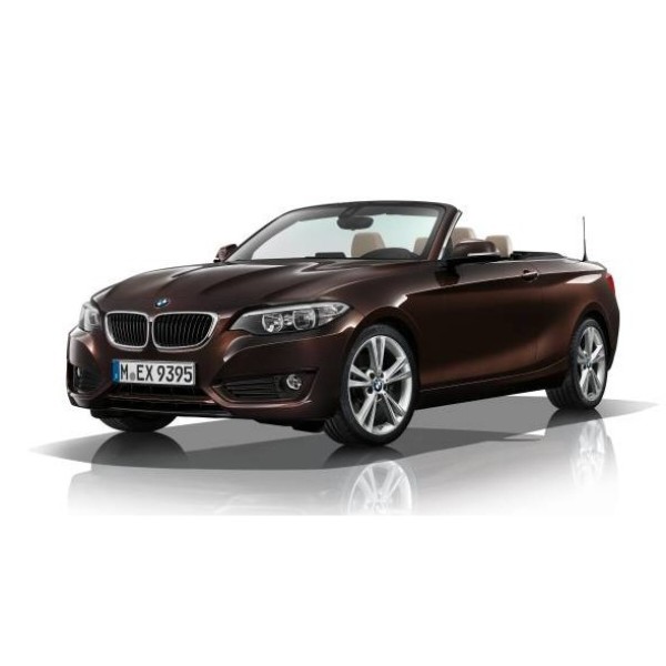 Фото - EVA коврики в салон авто EVAtech для 2 Series (F23) BMW 2013-2021 1 поколение Cabrio EU (BM54274PB4BW4RBB)