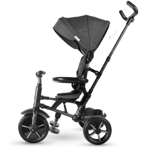 Фото - Триколісний велосипед Qplay Rito Star Black (S380-11RitoStarBlack)