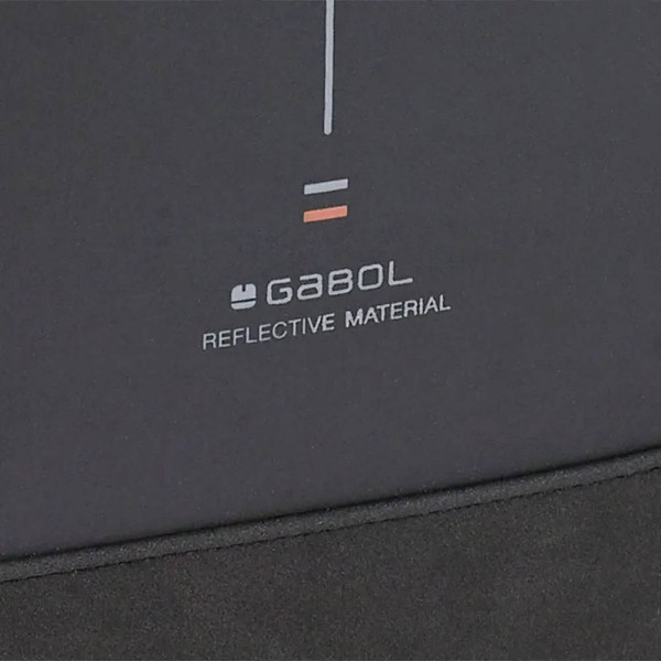 Фото - Рюкзак для ноутбуку Gabol Backpack Reflect 14L Grey (412455-016)