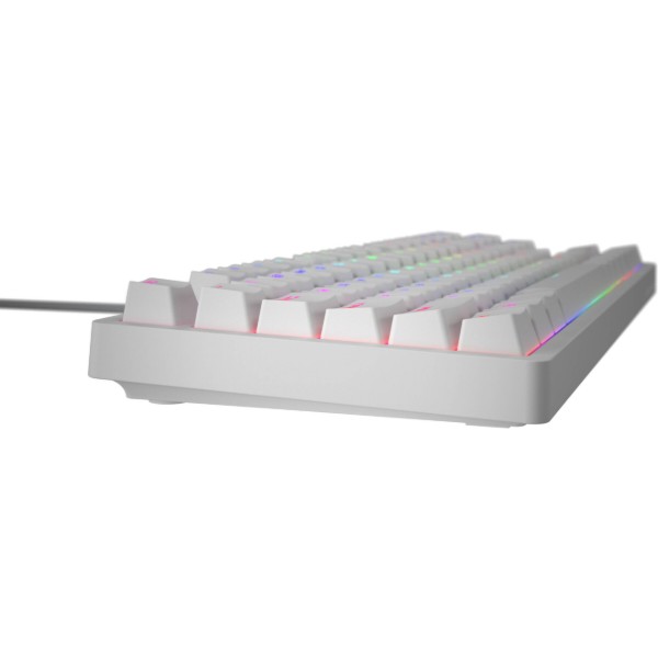 Фото - Клавиатура проводная игровая Hator Rockfall 2 Mecha TKL Orange USB White (HTK-521)