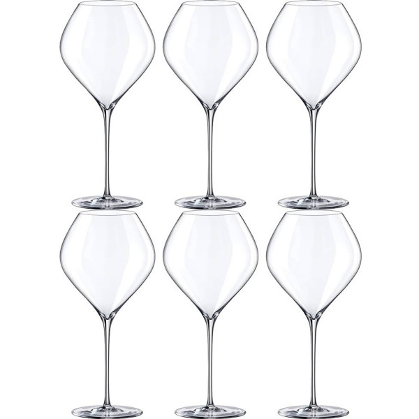 Фото - Набір келихів Rona Burgundy SWAN 860 мл 6 шт. (6650/860)