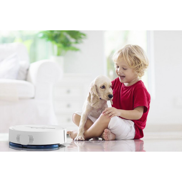 Фото - Робот-пилосос миючий Rowenta RR7747WH