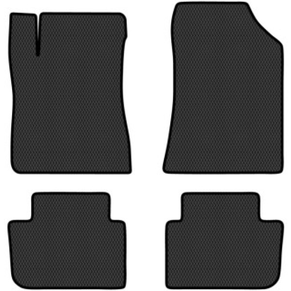 Фото - EVA килимки в салон авто EVAtech для Vel Satis Renault 2001-2009 1 покоління Htb EU RT22745PV4RBB