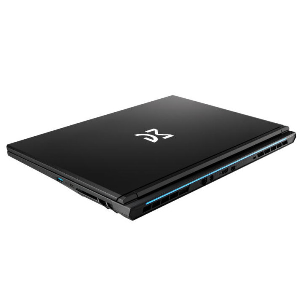 Фото - Ноутбук игровой Dream Machines RT5060-17 (RT5060-17UA21) Black