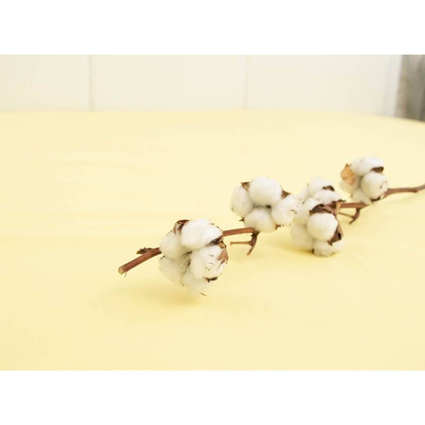 Фото - Простынь двуспальная Руно Yellow бязь 180х200 (504.114У_Yellow)