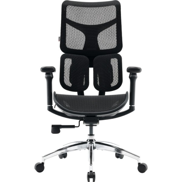 Фото - Кресло офисное Sihoo DORO S100 Mesh Black (S100-M301)