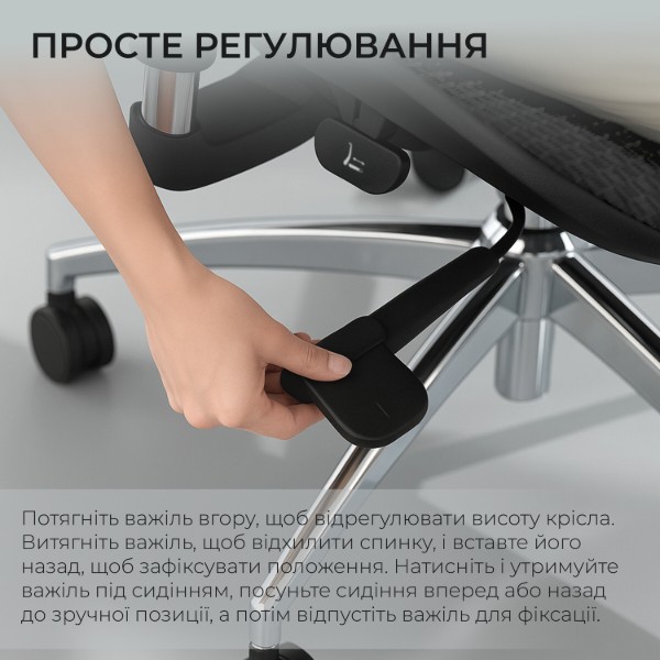 Фото - Кресло офисное Sihoo DORO S100 Mesh Black (S100-M301)