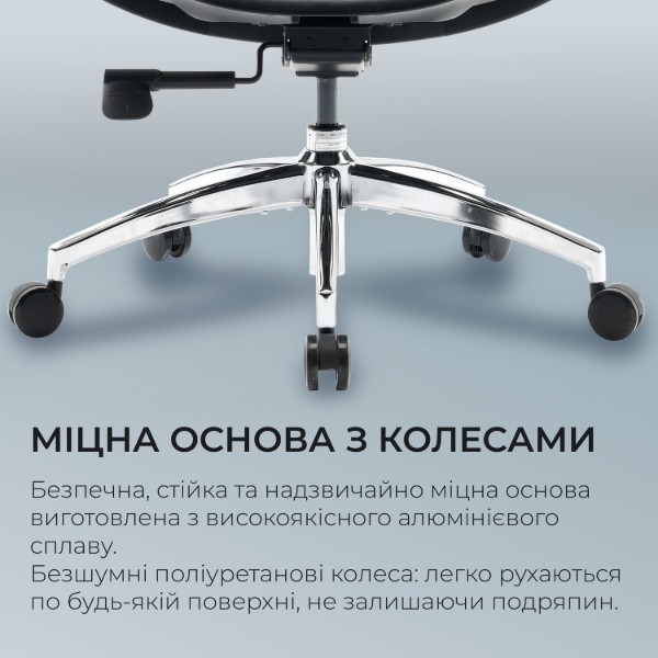 Фото - Кресло офисное Sihoo DORO S100 Mesh Black (S100-M301)