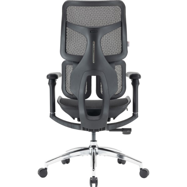 Фото - Кресло офисное Sihoo DORO S100 Mesh Black (S100-M301)