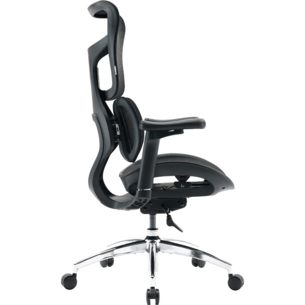 Фото - Кресло офисное Sihoo DORO S100 Mesh Black (S100-M301)