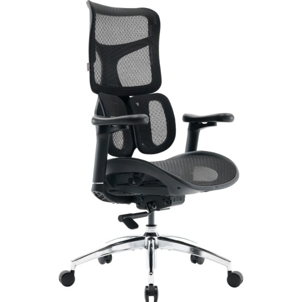 Фото - Кресло офисное Sihoo DORO S100 Mesh Black (S100-M301)