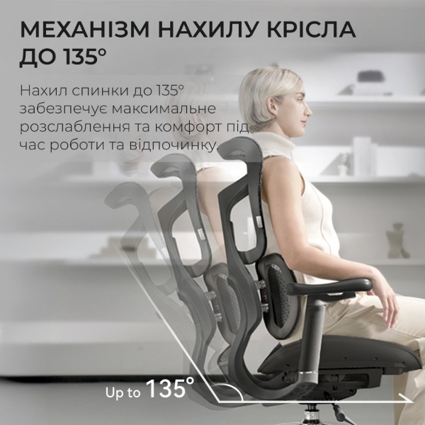 Фото - Кресло офисное Sihoo DORO S100 Mesh Black (S100-M301)