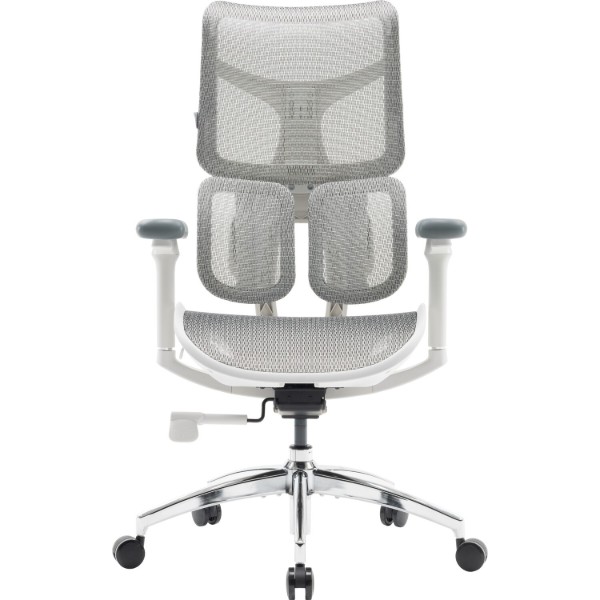 Фото - Кресло офисное Sihoo DORO S100 Mesh White (S100-M302) Фото - Кресло офисное Sihoo DORO S100 Mesh White (S100-M302)