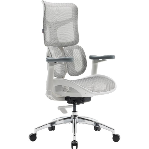Фото - Кресло офисное Sihoo DORO S100 Mesh White (S100-M302)