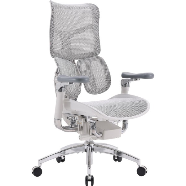 Фото - Кресло офисное Sihoo DORO S300 Mesh Light Grey (S300-M202)