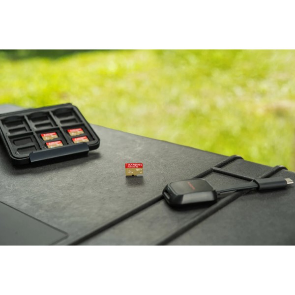 Фото - Карта памяти SanDisk Extreme GO SDXC 256GB UHS-I V30 A2 (SDSQXGN-256G-GN6MN)