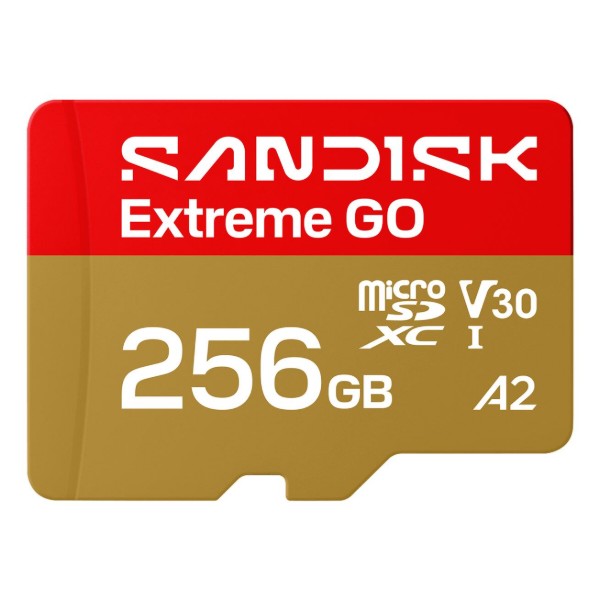 Фото - Карта памяти SanDisk Extreme GO SDXC 256GB UHS-I V30 A2 (SDSQXGN-256G-GN6MN)