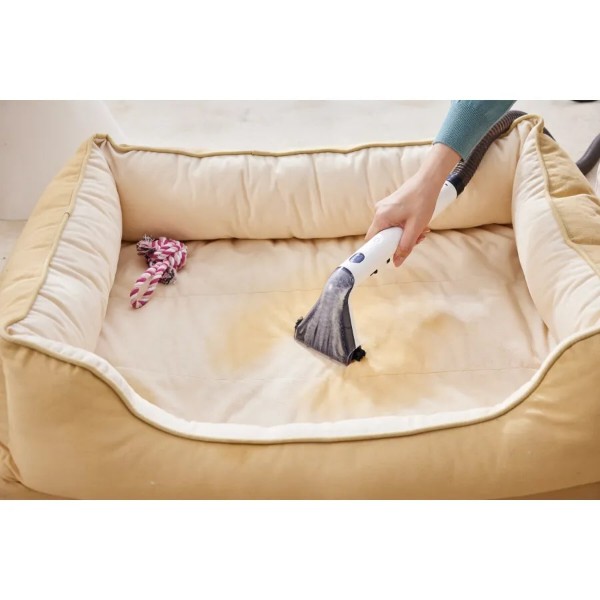 Фото - Пилосос миючий і плямовивідник Tineco iCarpet One Spot  (SC050300DE)