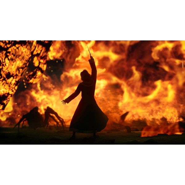 Фото - Игровой диск PS5 Hogwarts Legacy Deluxe Edition [PS5, Blu-Ray диск]