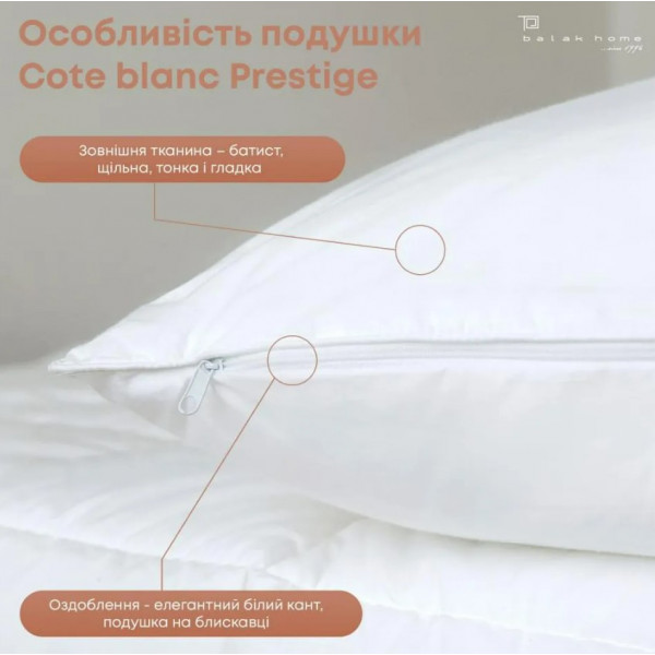 Фото - Подушка стандартна ТЕП Cote Blanc Prestige 40x60 см (3-02002_00000)